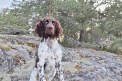 Kuva ©Heidi Malmström