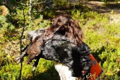 Kuva ©Heidi Malmström