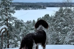 Kuva ©Heidi Malmström