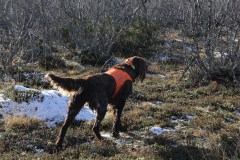 Kuva ©Olli Huttunen