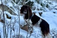 Kuva ©Heidi Malmström