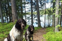 Kuva ©Heidi Malmström